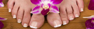 Nagelpilz