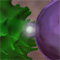 Immunsystem st�rken