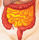 Morbus Crohn: Nutzen der Langzeitbehandlung mit Antibiotika